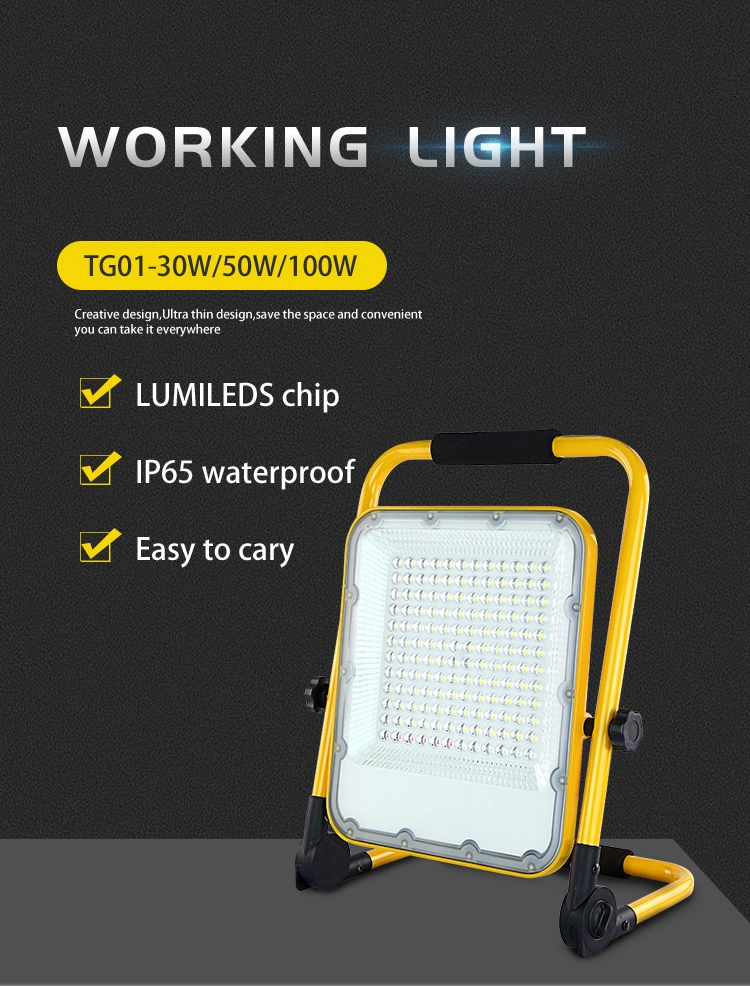 Explosion Proof Outdoor Rechargeable Portable Bracket Waterproof 30W LED Work Light